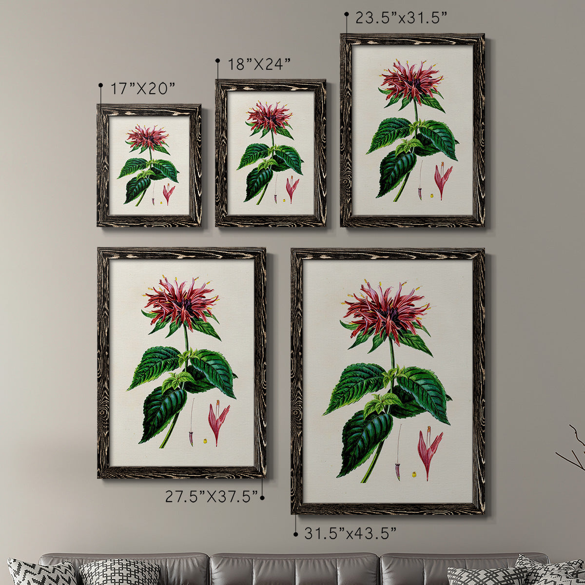 Size comparison chart for a set of two black barnwood framed canvas prints.