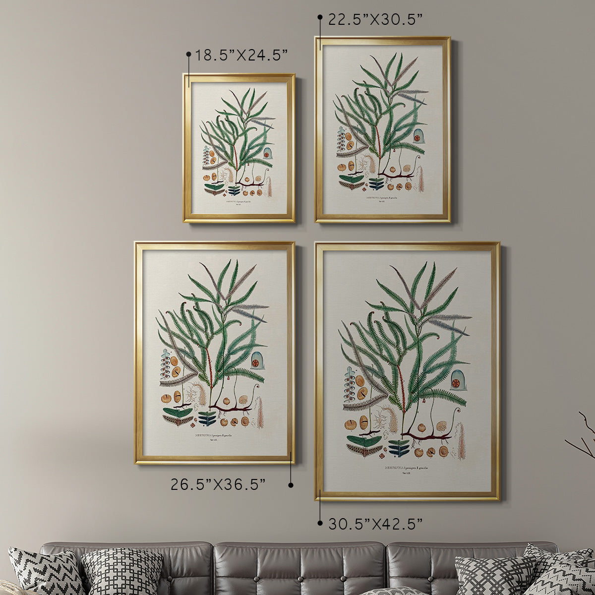 Botanical Society Ferns VII - Modern Framed Canvas Print