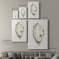 Neutral Oyster Study IV  Premium Gallery Wrapped Canvas - Ready to Hang