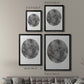 Graphite Moon II - Modern Framed Canvas Print