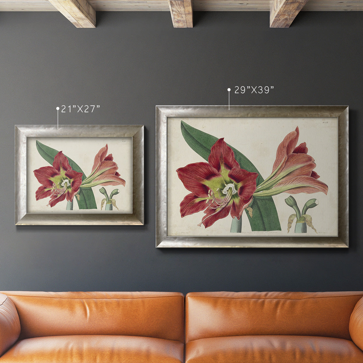 Amaryllis Splendor I Premium Framed Canvas- Ready to Hang