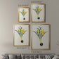 Flowers of the Seasons VI - Modern Framed Canvas Print
