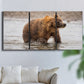 Three-panel canvas wall art featuring wildlife photography animal portrait, displayed in a living room above a sofa.