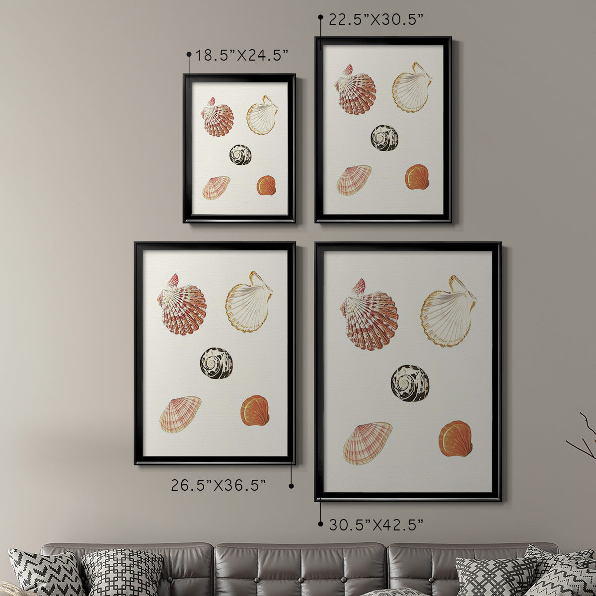 Pastel Knorr Shells VIII - Modern Framed Canvas Print