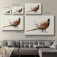 Pheasant Splash 2 Premium Gallery Wrapped Canvas - Ready to Hang