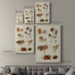 Mushroom Species III - Canvas Art Print