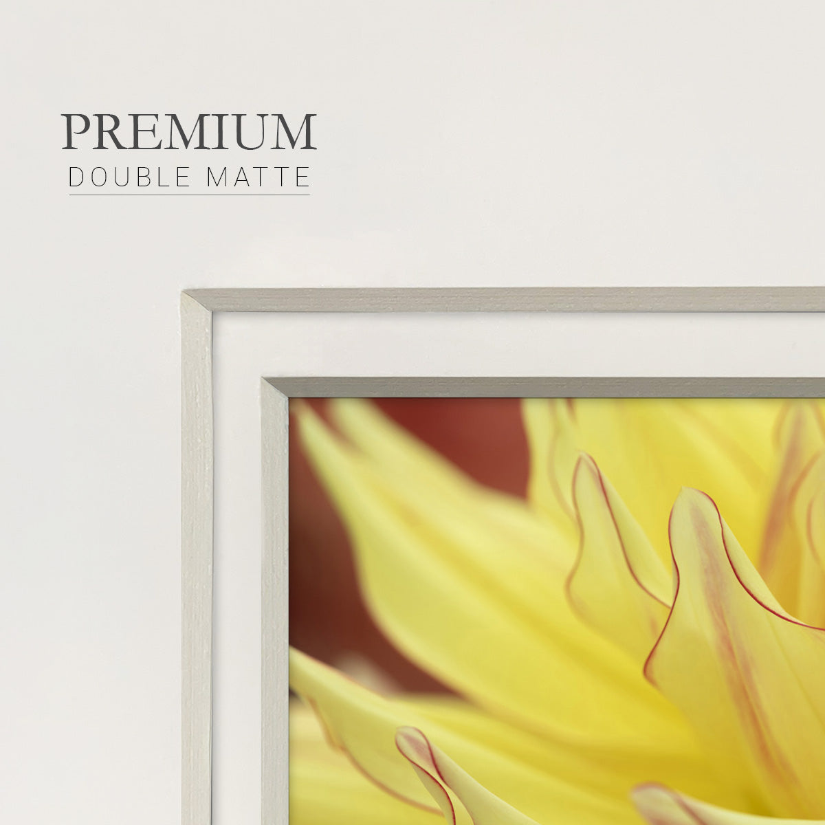 Blooms I Premium Framed Print Double Matboard