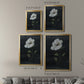 Country Botanical II - Modern Framed Canvas Print