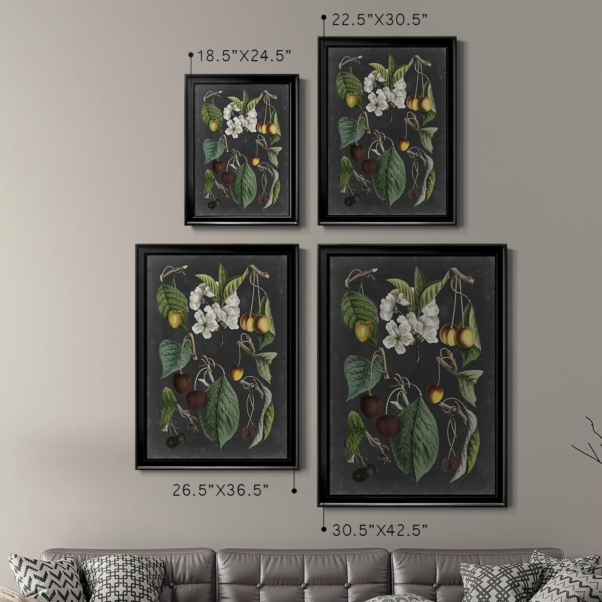 Orchard Varieties II - Modern Framed Canvas Print