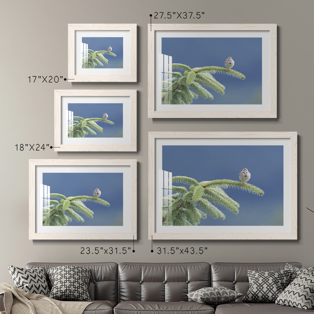 Evergreen Perch - Barnwood Framed Art Print