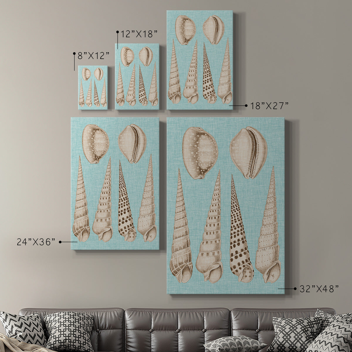 Sepia & Aqua Shells VI - Canvas Art Print