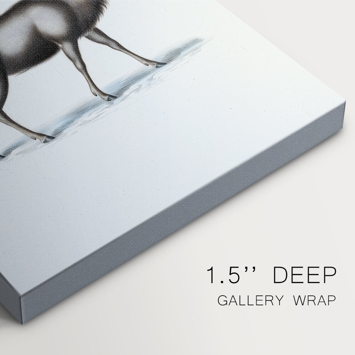 Pearled Night at Midnight - Canvas Art Print