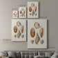 Knorr Shells & Coral I Premium Gallery Wrapped Canvas - Ready to Hang