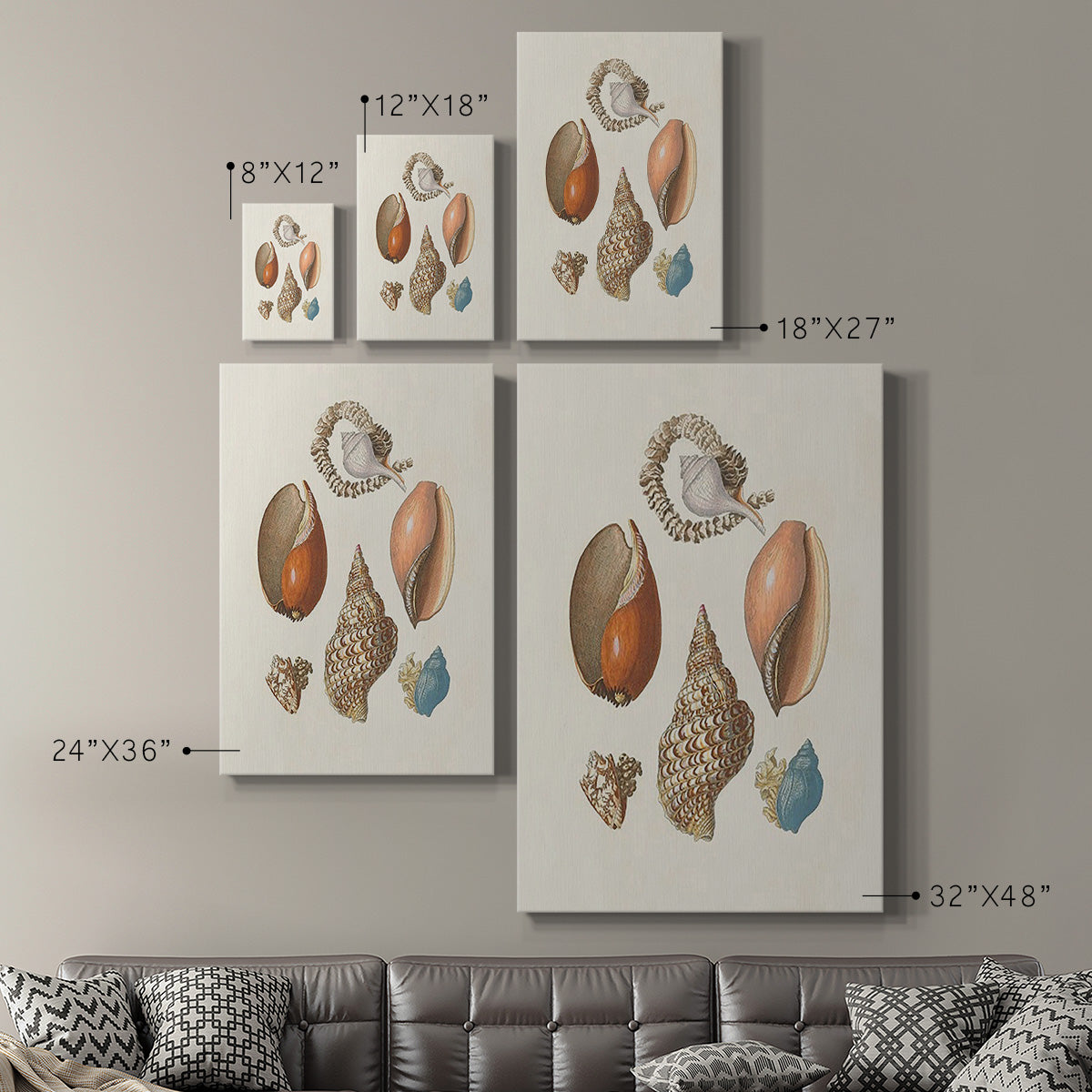 Knorr Shells & Coral I Premium Gallery Wrapped Canvas - Ready to Hang