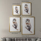 Barred Owl Impressions II - Modern Framed Canvas Print