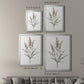 Dainty Botanical I - Modern Framed Canvas Print