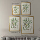 Antique Almond Botanical IV - Modern Framed Canvas Print