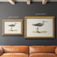 Morris Sandpipers I Premium Framed Canvas- Ready to Hang