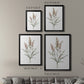 Dainty Botanical I - Modern Framed Canvas Print
