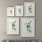 Sprigs in Green I   - Premium Framed Canvas 2 Piece Set - Ready to Hang