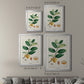 Turpin Tropical Botanicals V - Modern Framed Canvas Print