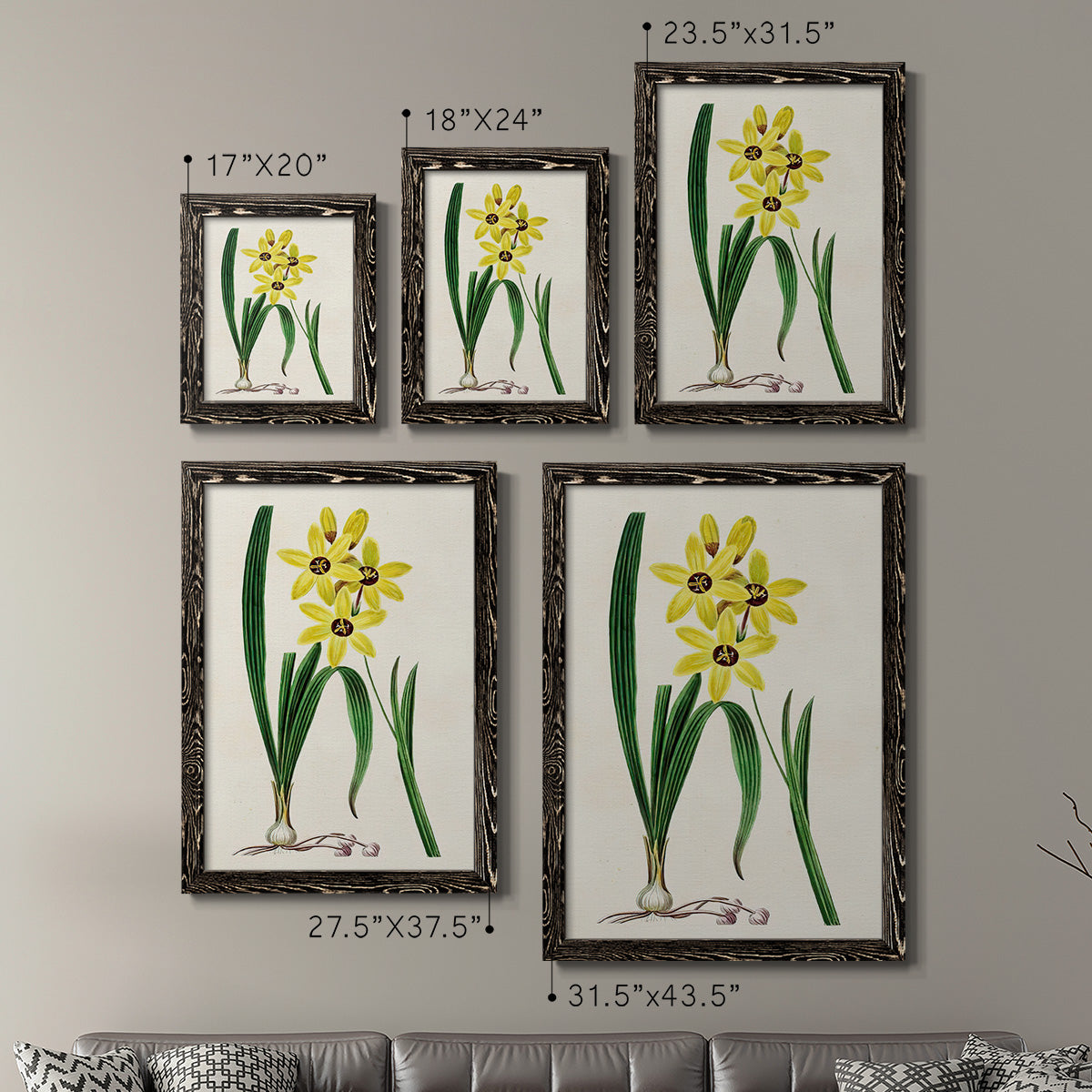 Size comparison chart for a set of two black barnwood framed canvas prints.