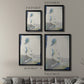 Picture Perfect -  Framed Canvas Print