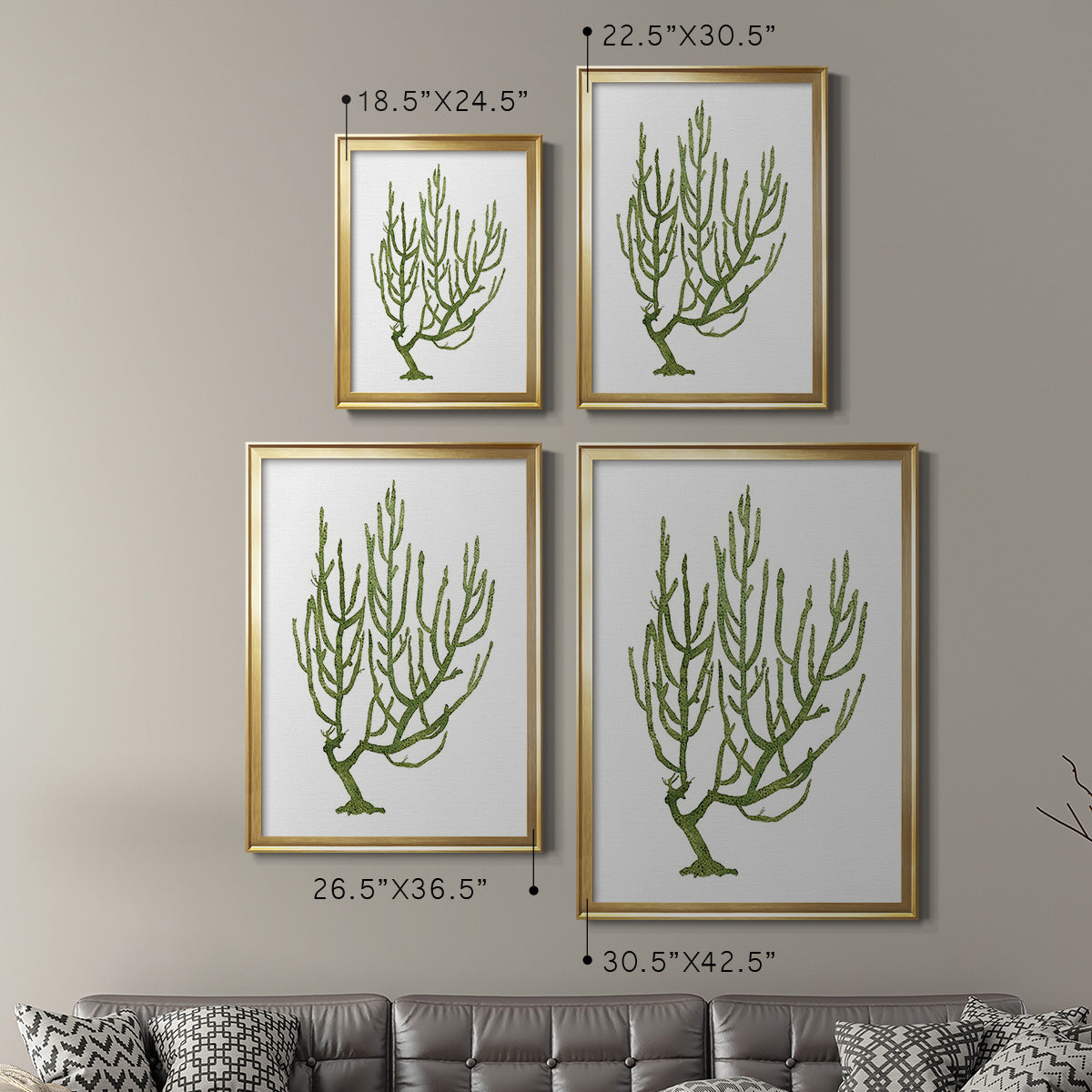 Coral Souvenirs III - Modern Framed Canvas Print