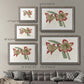 Amaryllis Varietals IV-Premium Framed Print - Ready to Hang