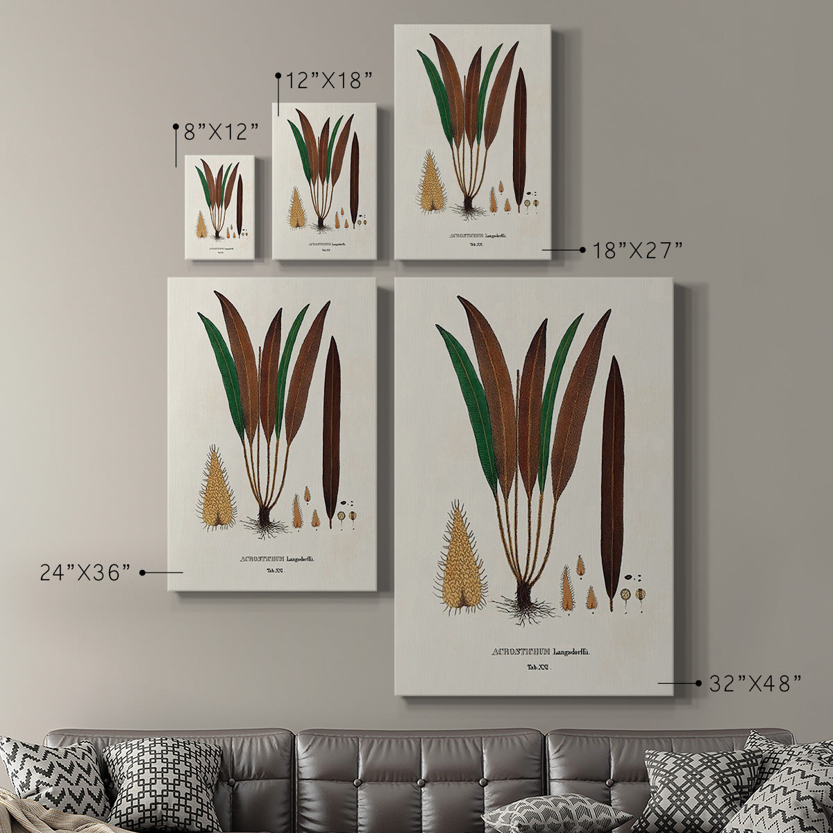 Botanical Society Ferns I - Canvas Art Print