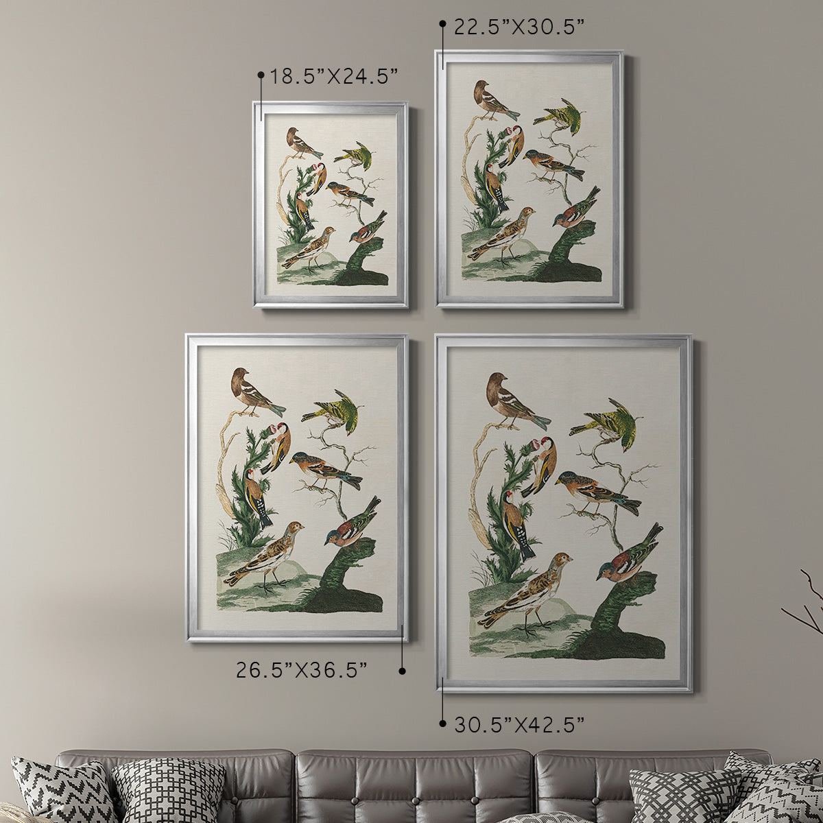 Antique Birds in Nature I - Modern Framed Canvas Print