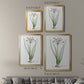 Rose Botanical II - Modern Framed Canvas Print