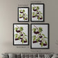 Watercolor Cherries - Modern Framed Canvas Print
