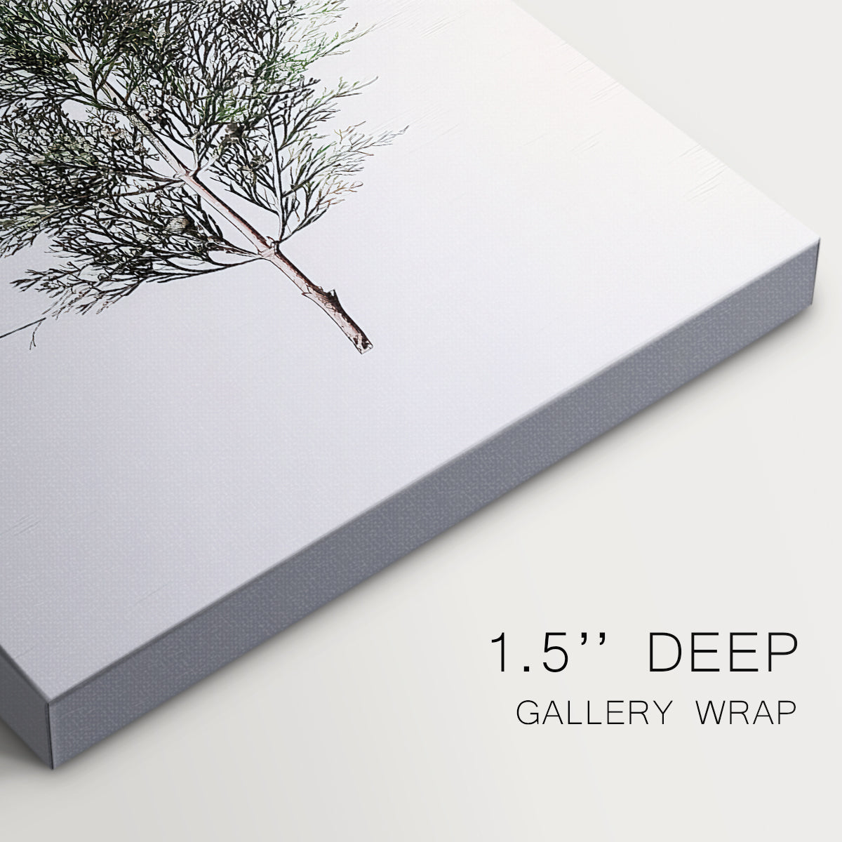 Morning of Pearled Blessing - Canvas Art Print