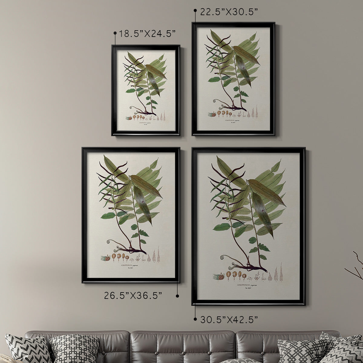 Botanical Society Ferns VI - Modern Framed Canvas Print