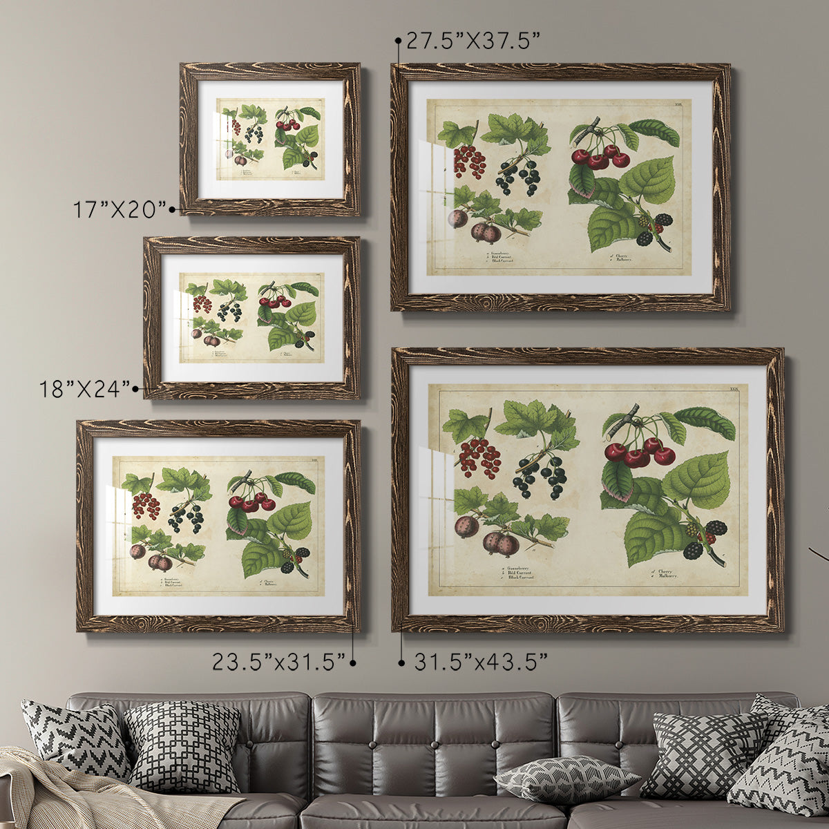 Kitchen Fruits III-Premium Framed Print - Ready to Hang