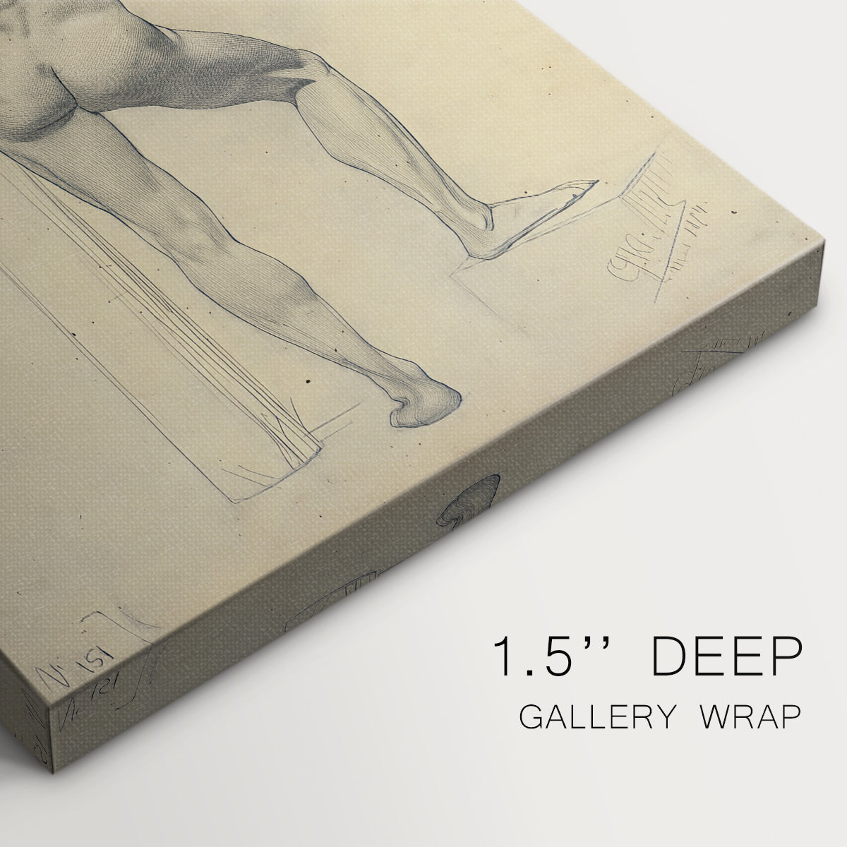 Close-up of a gallery-wrapped canvas corner showing a quiet study emphasizing form and posture, highlighting texture and print detail.
