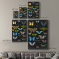 Graphic Butterfly Taxonomy I Premium Gallery Wrapped Canvas - Ready to Hang