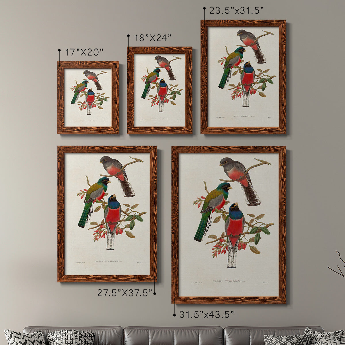 Elegant Trogons IX - Premium Framed Canvas 2 Piece Set - Ready to Hang