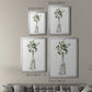 Botanical Arrangement I - Modern Framed Canvas Print