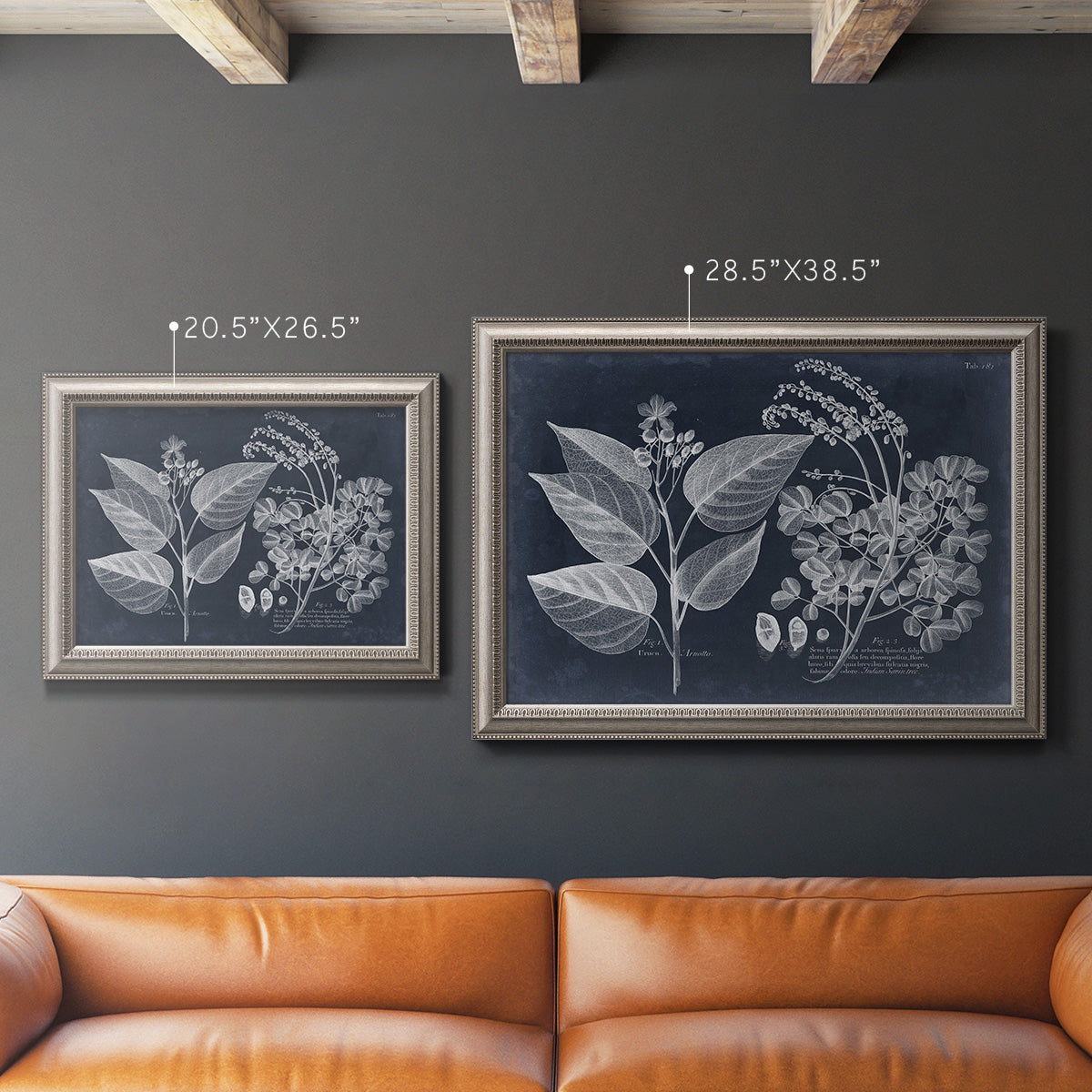 Decorative botanical foliage drawing on navy background in an ornate vintage silver frame shown in multiple size options.