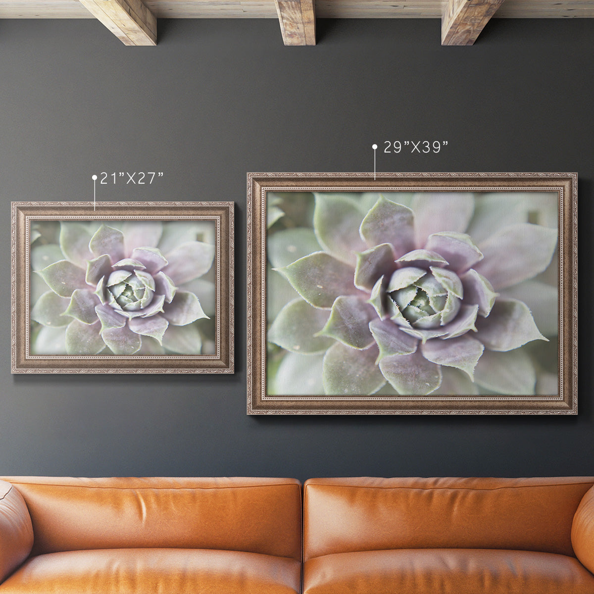 Succulent Glow II - Ornate Framed Canvas Print