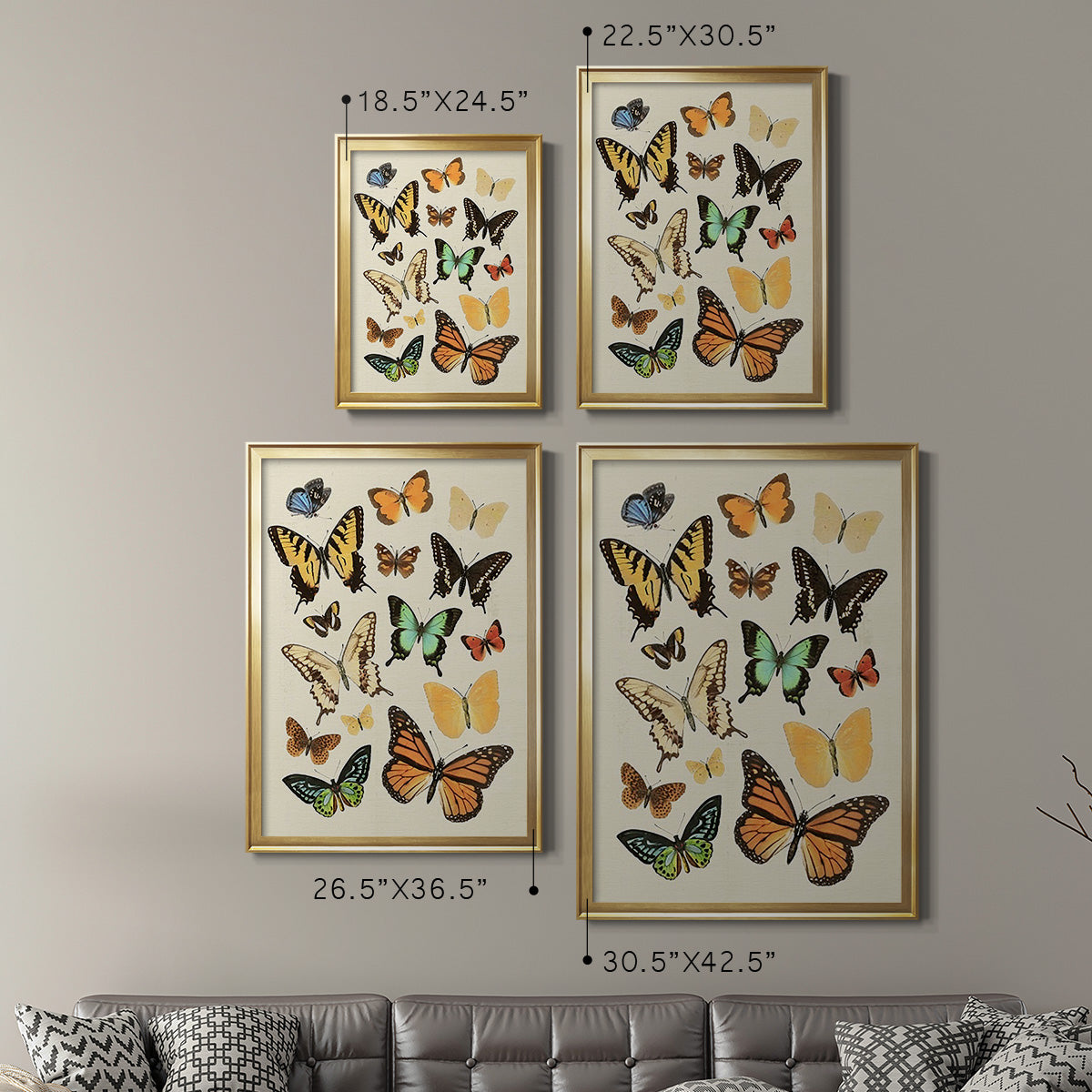 Collected Flutter I - Modern Framed Canvas Print