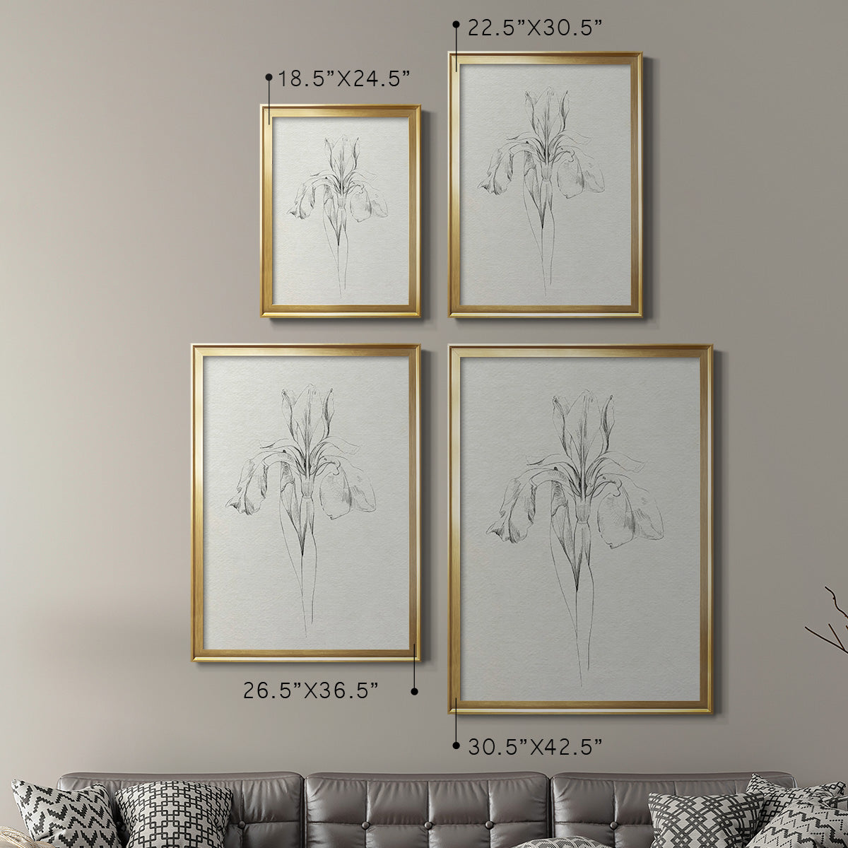 Neutral Iris Sketch I - Modern Framed Canvas Print