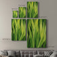 Blades of Grass II Premium Gallery Wrapped Canvas - Ready to Hang