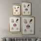 Pastel Knorr Shells V - Modern Framed Canvas Print