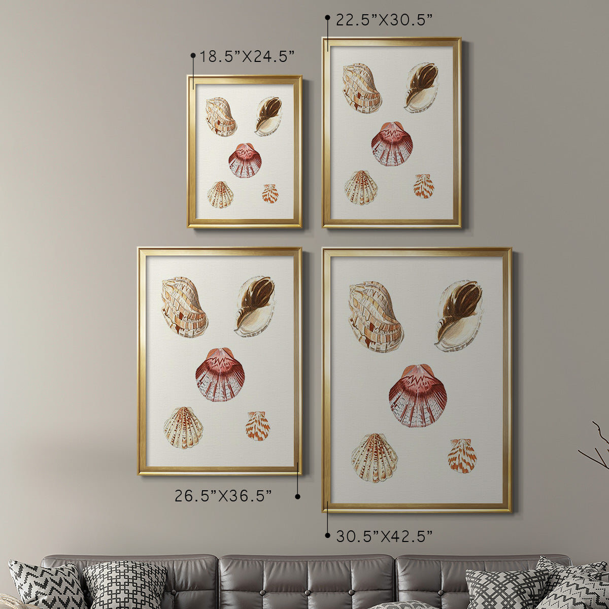Pastel Knorr Shells V - Modern Framed Canvas Print