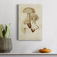 Mushroom Varieties VIII Premium Gallery Wrapped Canvas - Ready to Hang