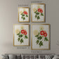 Flowers of the Seasons I - Modern Framed Canvas Print