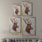 Stag Study II - Modern Framed Canvas Print